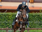 Aroni Quieta Bella GioCav2013 S5 4145 : Aroni Francesco, Campionati Italiani Giovani Cavalli, Cattolica, Quieta Bella, ph Stefano Secchi ©